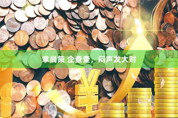 掌尚策 企查查,闷声发大财
