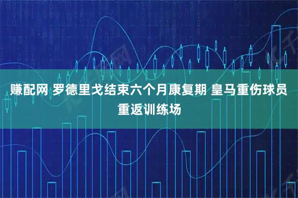 赚配网 罗德里戈结束六个月康复期 皇马重伤球员重返训练场